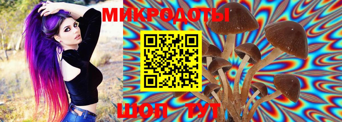 Псилоцибиновые грибы GOLDEN TEACHER  Вход с VPN  Псилоцибиновые грибы Psilocybine cubensis  Чебаркуль 